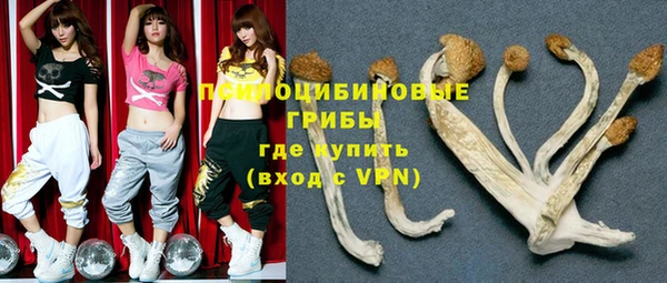 твердый Балабаново