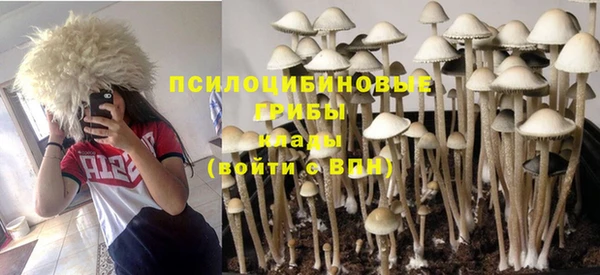 твердый Балабаново
