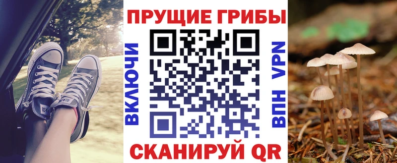 закладки  Усть-Илимск  Галлюциногенные грибы прущие грибы 